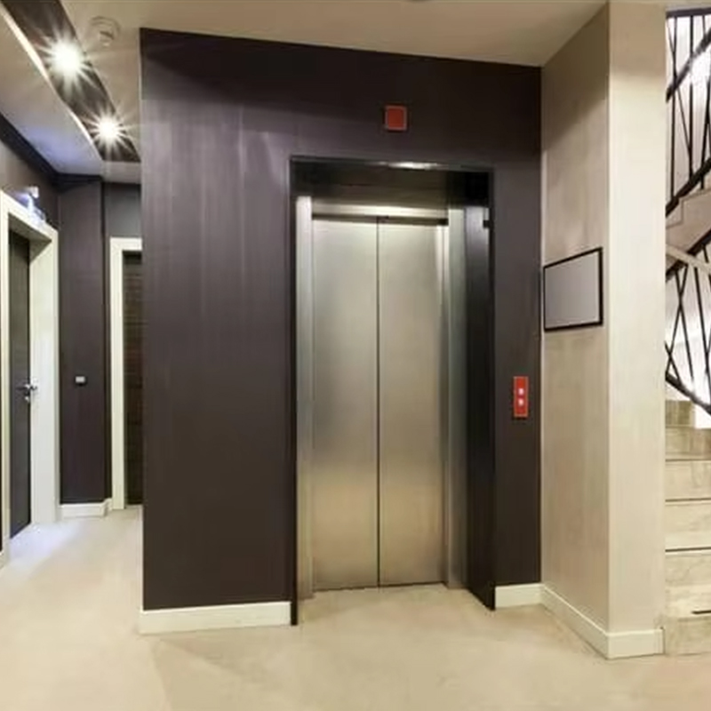 VTEP124 Čínska značka moderného výrobcu osobného výťahu Vysokovýkonný výťah Hotel Použitie Podlaha z PVC Nerezová oceľ AC pohon